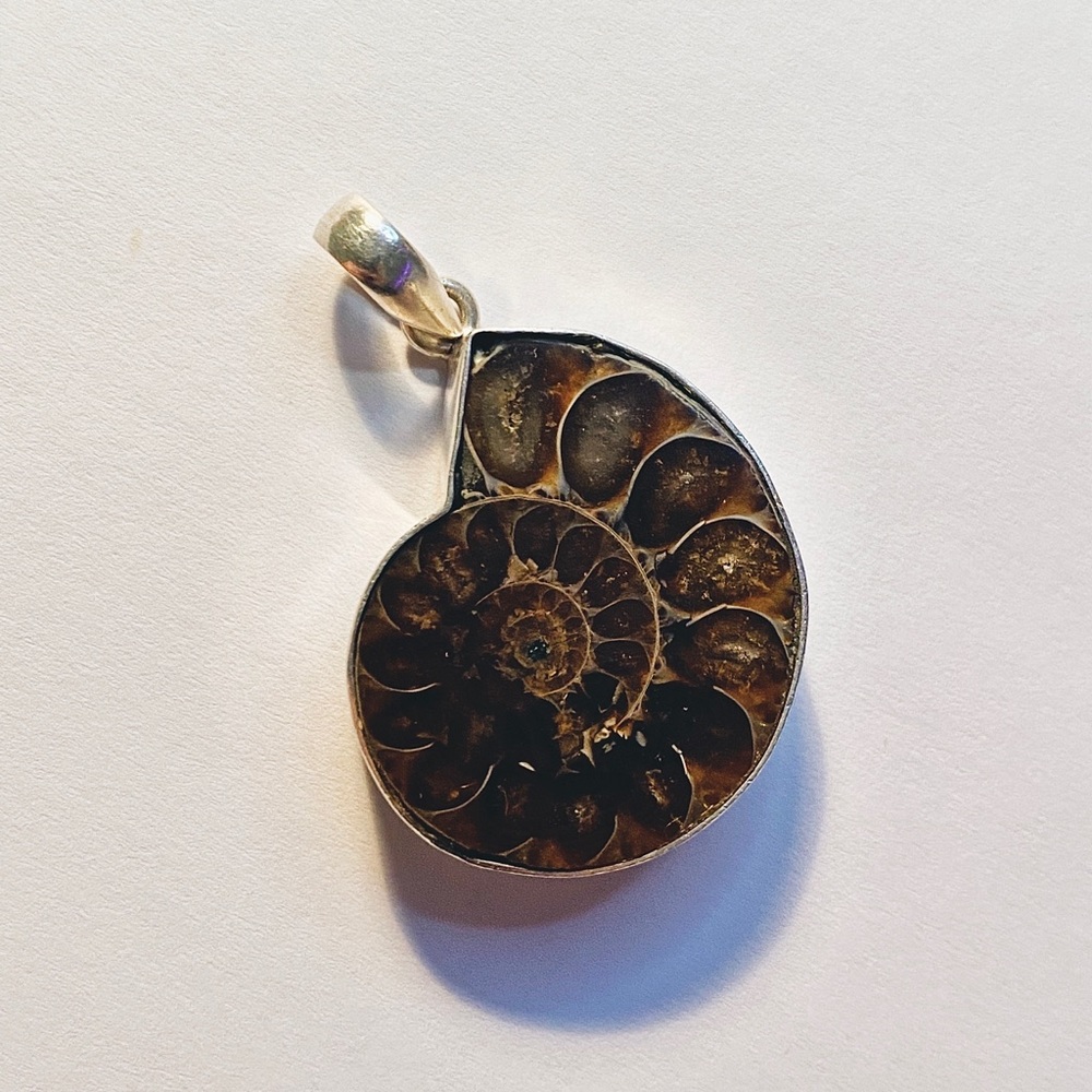 Ammolite Pendant